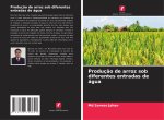 Produção de arroz sob diferentes entradas de água