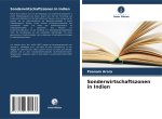 Sonderwirtschaftszonen in Indien