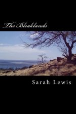 The Bleaklands