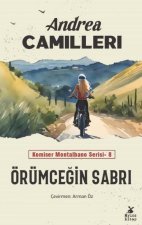 Örümcegin Sabri