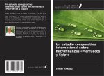 Un estudio comparativo internacional sobre microfinanzas «Marruecos y Egipto
