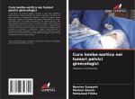 Cura lombo-aortica nei tumori pelvici ginecologici