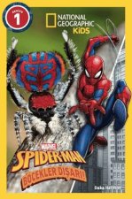 Spider-Man Böcekler Disari Seviye 1