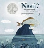 Nasil Nasil Sorusunun Pesinde Masal Bilim Oyun Yolculugu