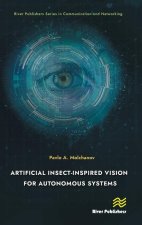 Artificial Insect-Inspired Vision for Autonomous Systems