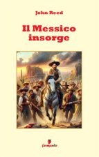 Messico insorge