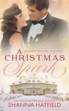 A Christmas Spark
