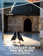Jerusalem Sun and Wildlife Photo Book