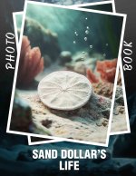 Sand Dollar's Life Photo Book