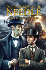 In the Shadow of the Needle