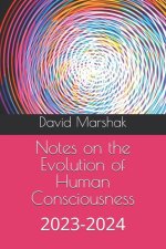 Notes on the Evolution of Human Consciousness