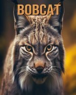 Bobcat