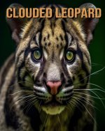 Clouded Leopard