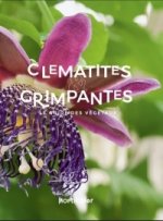 Grimpantes & Clématites