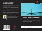Study of Thermo-Gravitational Separation in Porous Media