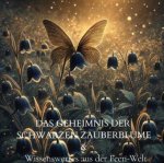 Das Geheimnis der schwarzen Zauberblume