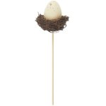 Picker Ei im Nest, Natur