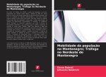 Mobilidade da população no Montenegro; Tráfego no Nordeste do Montenegro