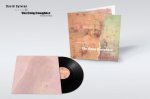 Sylvian David:  The Good Son Vs. The Only Daughter - The Blemish Remixes