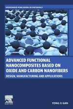 Advanced Functional Nanocomposites Based on Oxide and Carbon Nanofibers