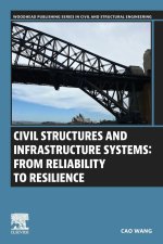 Civil Structures and Infrastructure Systems