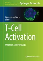 T-Cell Activation