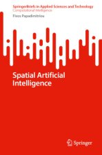 Spatial Artificial Intelligence