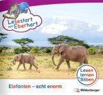 Lesestart mit Eberhart: Elefanten - echt enorm