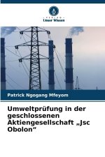 Umweltprüfung in der geschlossenen Aktiengesellschaft 