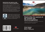 Destruction du cyanure et de l'arsenic par électrocoagulation