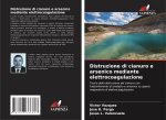 Distruzione di cianuro e arsenico mediante elettrocoagulazione