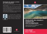 Destruição de cianeto e arsénio por eletrocoagulação