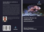 Toxische effecten van erythrosine op zebravisembryo's