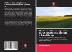 Efeito in vitro e in planta de Chromolaena odorata e Candida sp