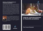 Interne controlesystemen & financiële prestaties