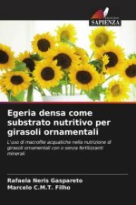 Egeria densa come substrato nutritivo per girasoli ornamentali