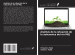 Análisis de la situación de la subcuenca del río MEJ