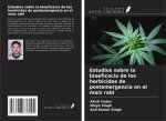 Estudios sobre la bioeficacia de los herbicidas de postemergencia en el maíz rabi