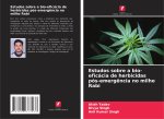 Estudos sobre a bio-eficácia de herbicidas pós-emerg?ncia no milho Rabi