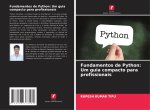 Fundamentos de Python: Um guia compacto para profissionais