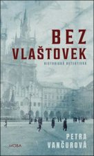 Bez vlaštovek - Historická detektivka