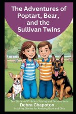 The Adventures of Poptart, Bear, and the Sullivan Twins