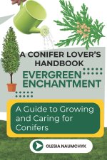 Evergreen Enchantment