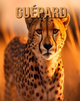 Guépard