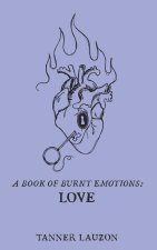 A book of burnt emotions