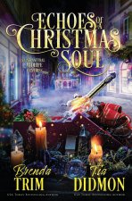 Echoes of a Christmas Soul