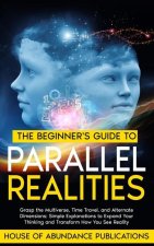 The Beginner's Guide to Parallel Realities