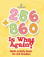 256 + 860 Is What Again?