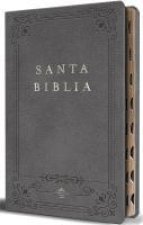 Biblia Rvr 1960 Letra Grande Tama?o Manual, Piel Gris Con Índice / Spanish Bible Rvr 1960 Handy Size Large Print Leathersoft Gray with Index
