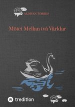 Mötet Mellan två Världar
